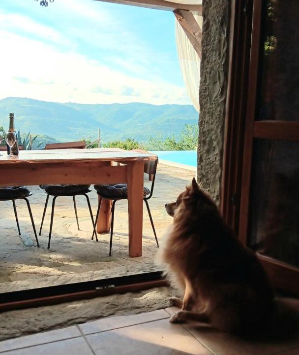 Photo of Others in Sovinjska Brda