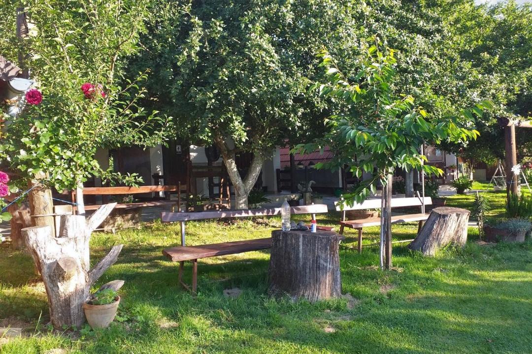 Photo of Others in Kutina