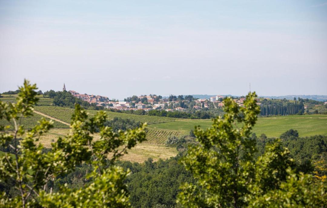 Photo of Others in Baredine