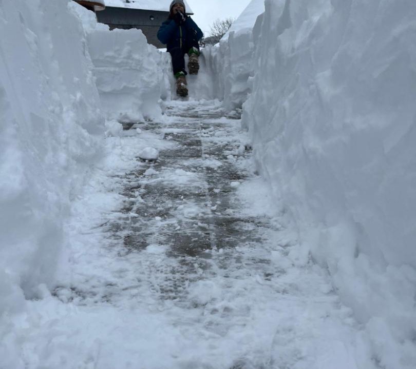 Photo of Others in Seliste