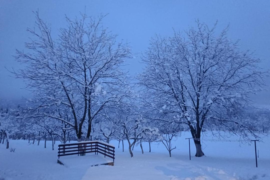 Photo of Others in Dreznik Grad