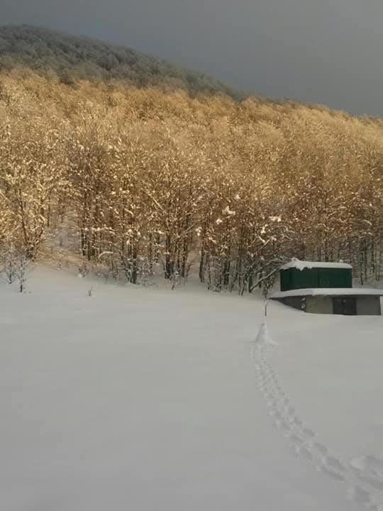 Photo of Others in Platak
