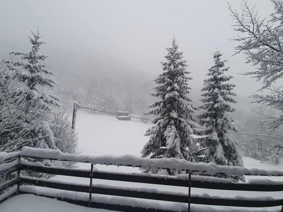 Photo of Others in Platak