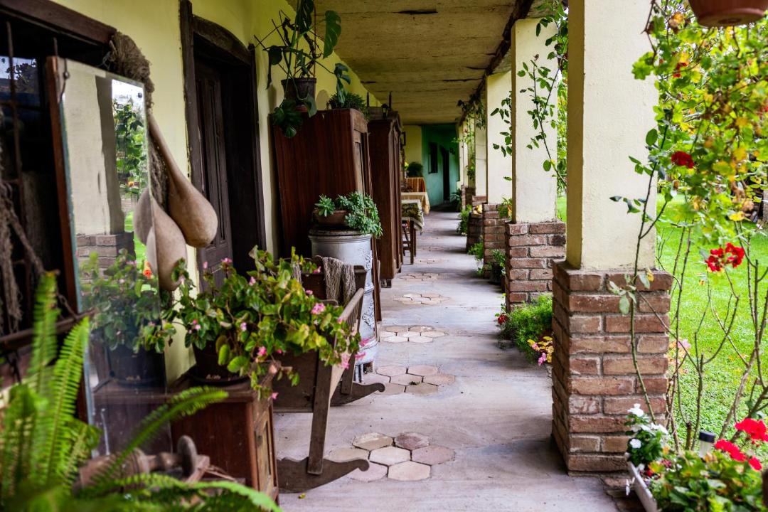 Photo of Patio Balcony in Gradiste