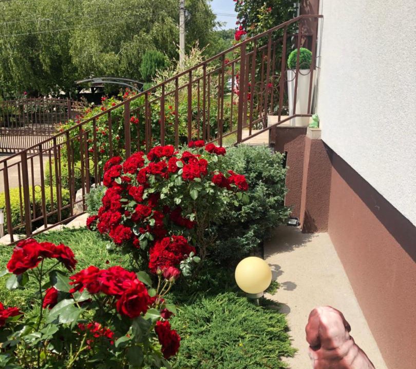 Photo of Others in Vrdnik