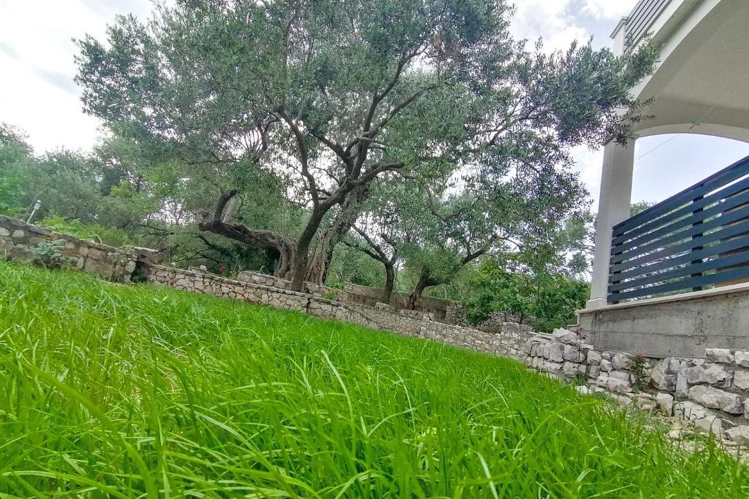 Photo of Others in Kremena