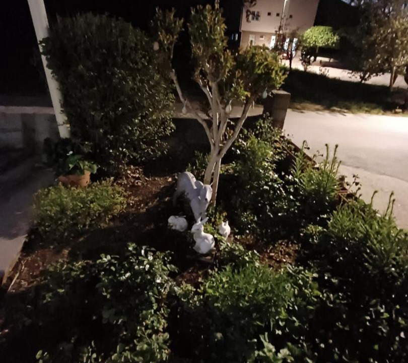 Photo of Others in Medjugorje