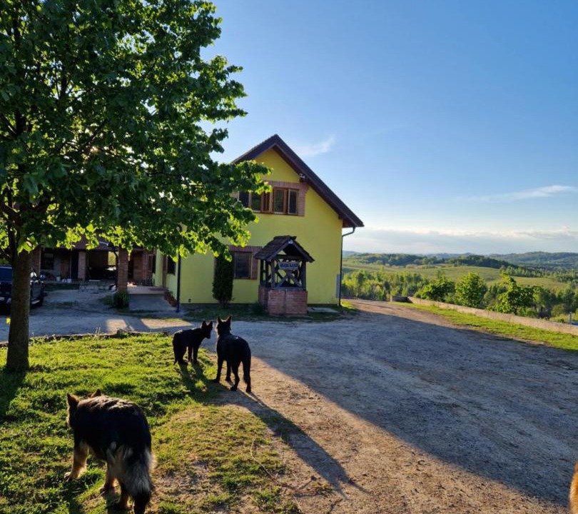 Photo of Others in Gvozd