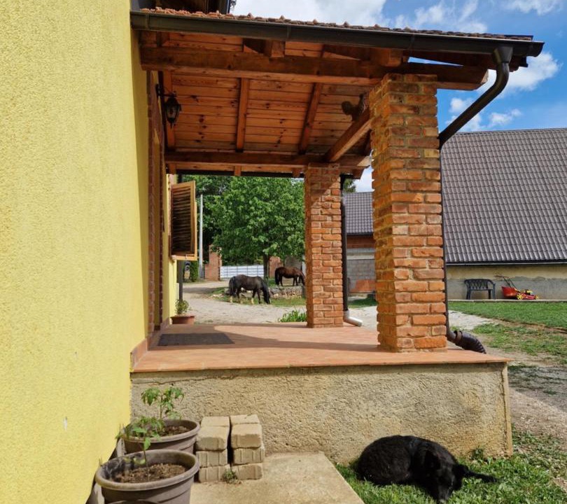 Photo of Others in Gvozd