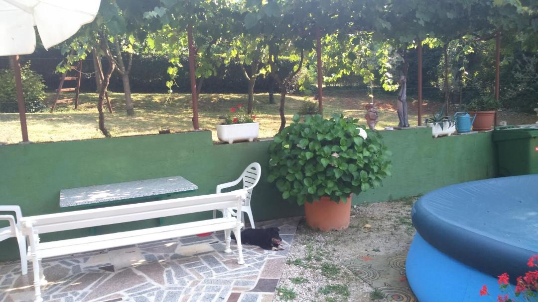 Photo of Others in Murine