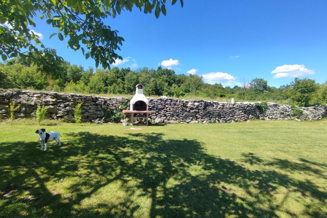 Photo of Others in Buzet