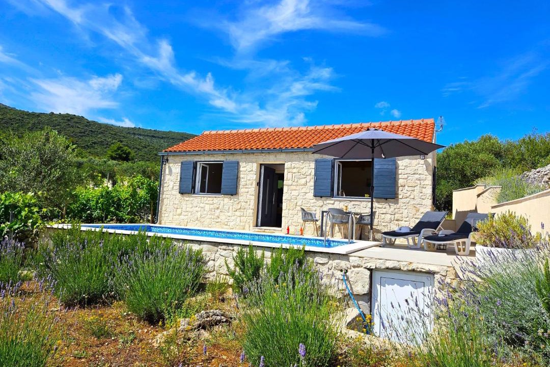 Photo of Others in Kneza