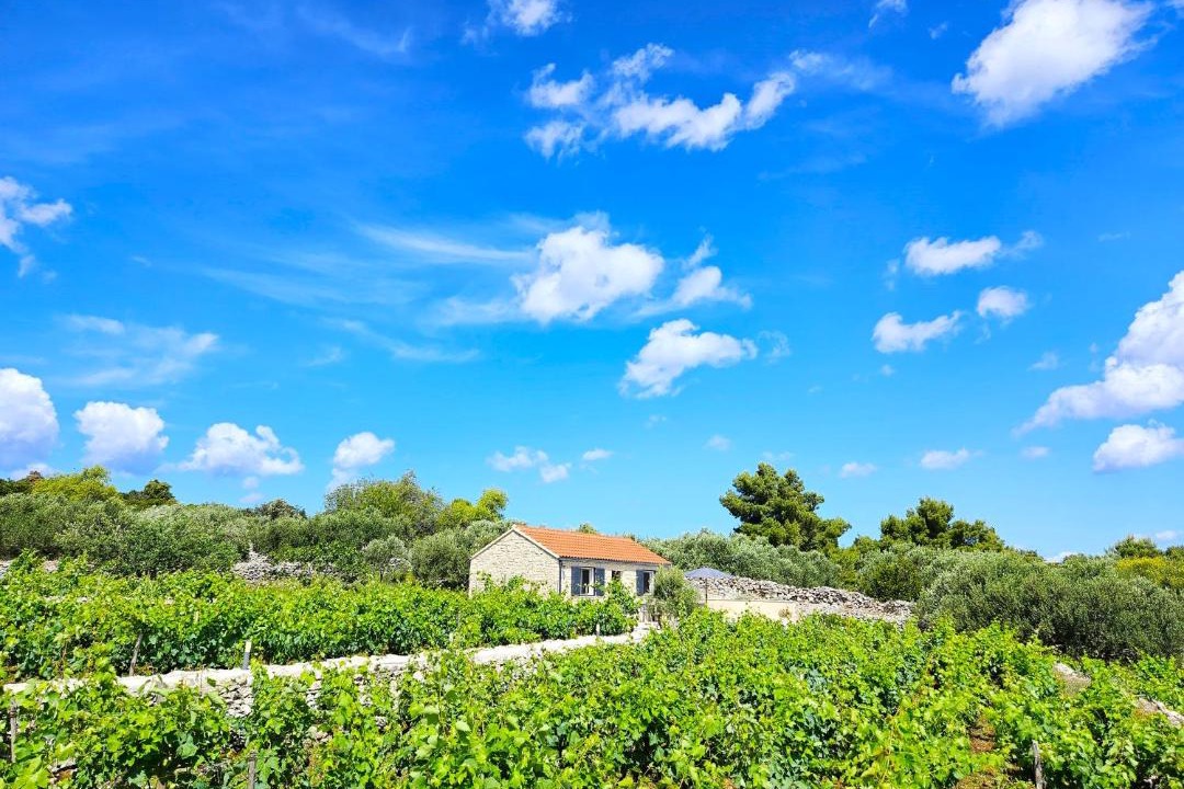 Photo of Others in Kneza