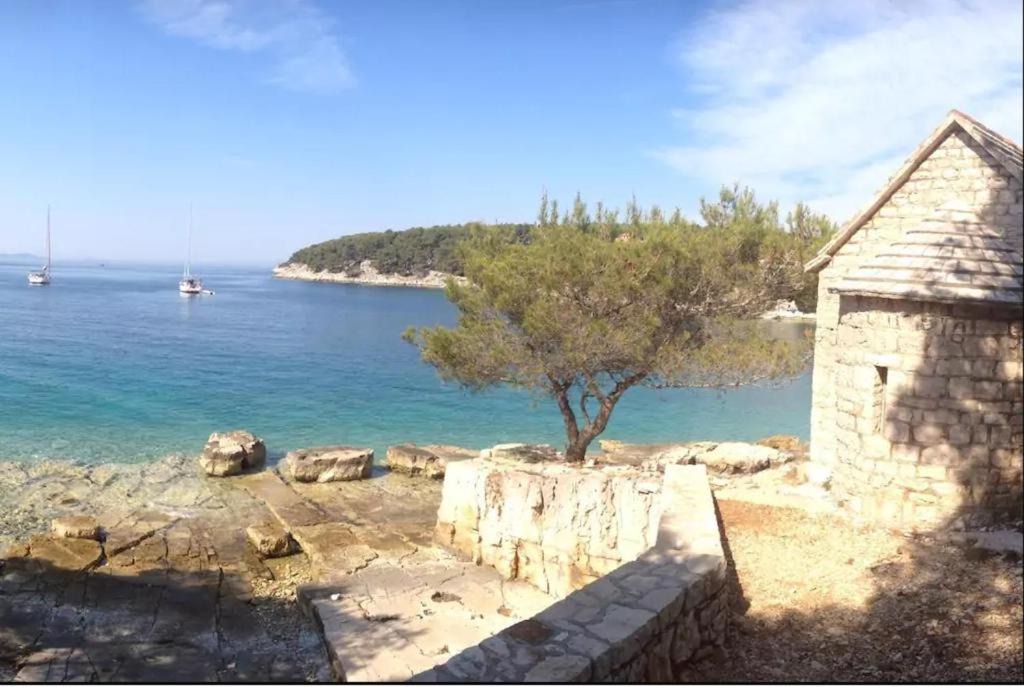 Photo of Others in Milna (Brac)