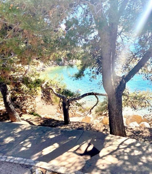 Photo of Outdoor in Suha Punta