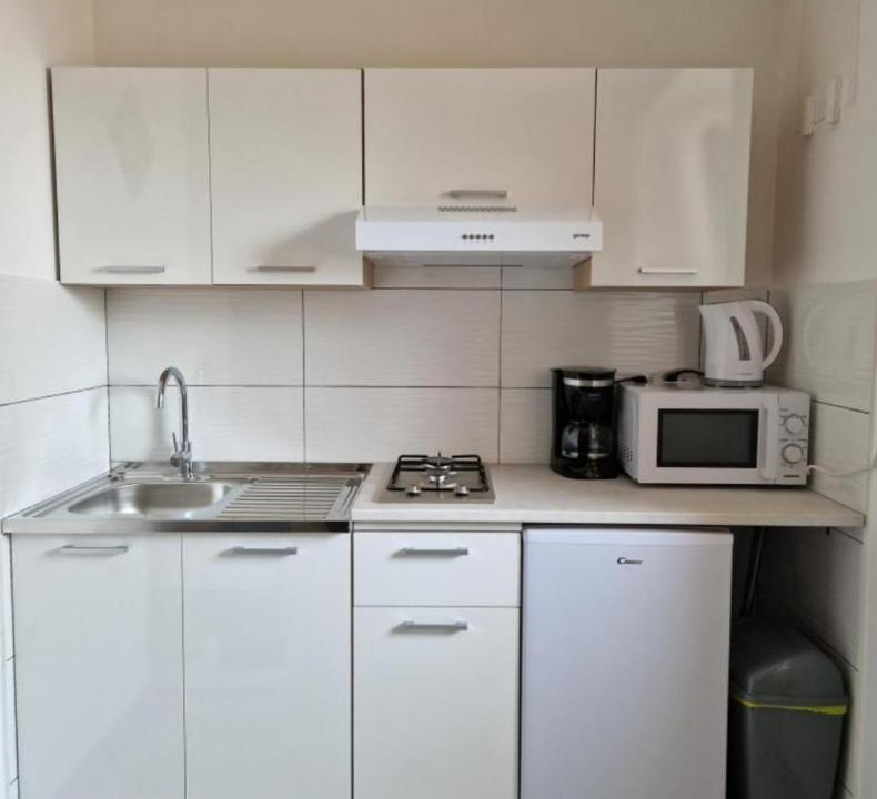 Photo of Kitchen in Petrovija