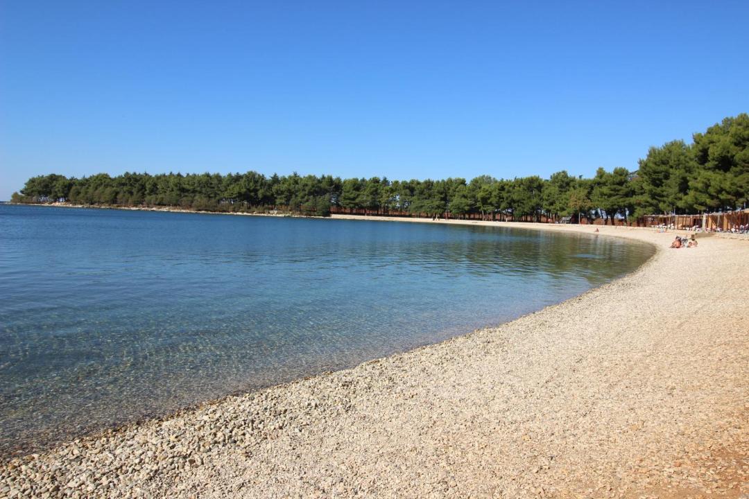 Photo of Others in Novigrad