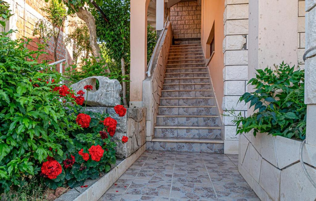 Photo of Others in Medvinjak