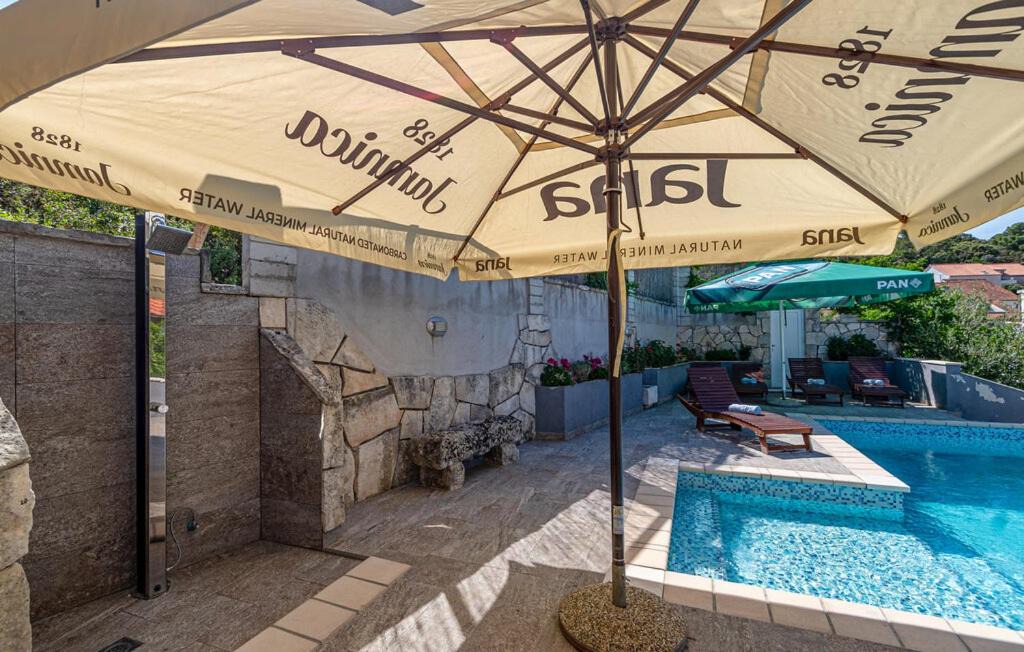 Photo of Others in Medvinjak