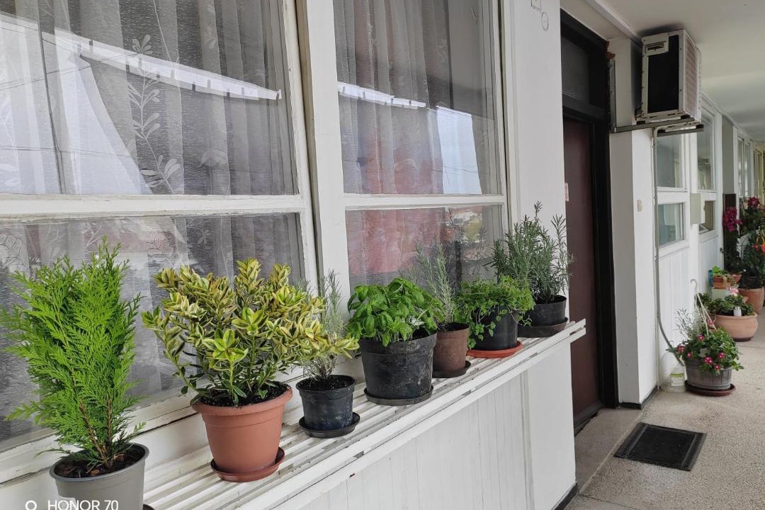 Photo of Others in Bjelovar