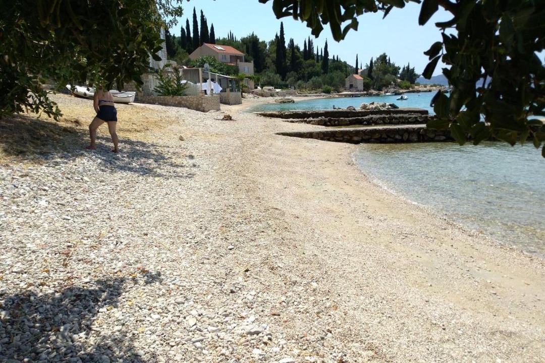 Photo of Others in Banici