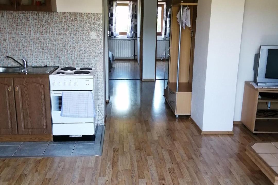 Photo of Kitchen in Smoljanac