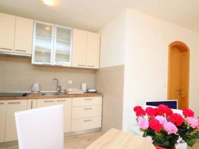 Photo of Kitchen in Trstenik
