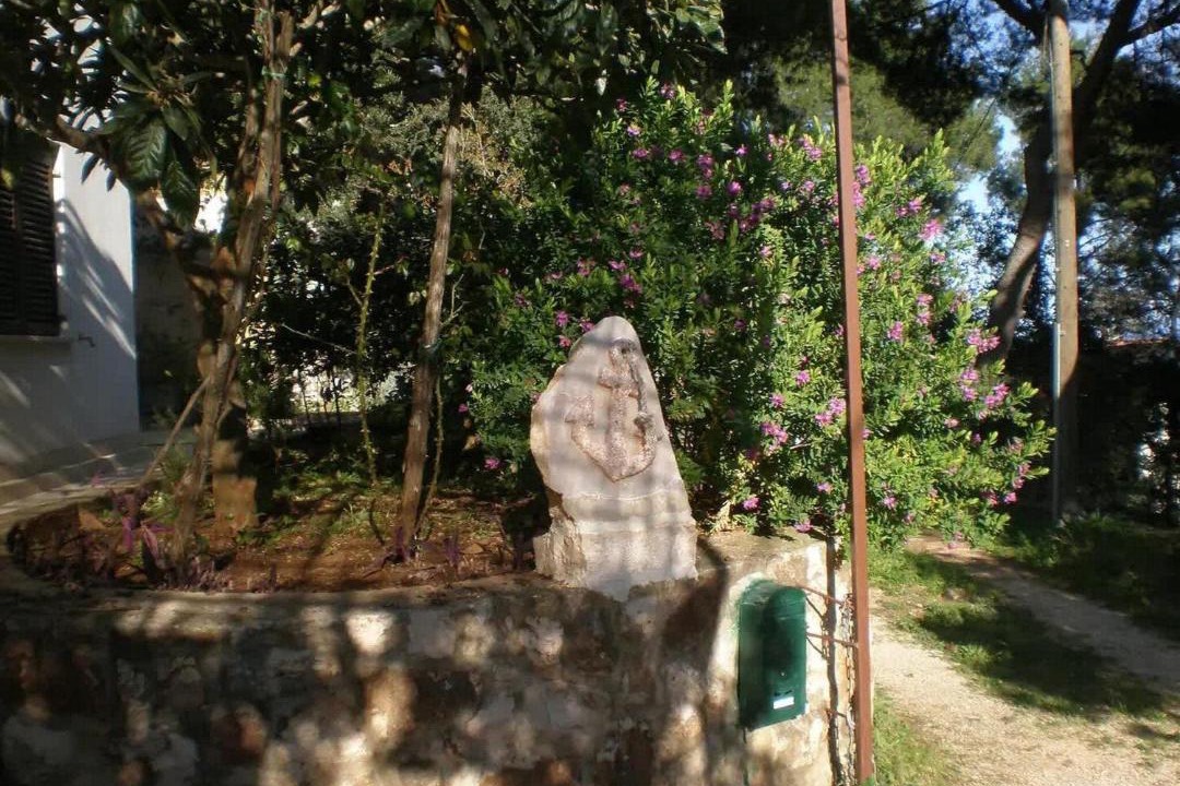 Photo of Others in Zavala