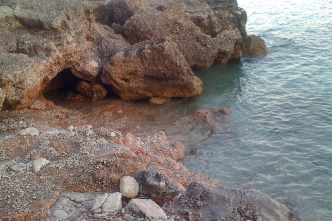 Photo of Others in Zavala