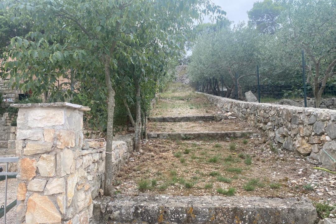 Photo of Others in Bobovisca