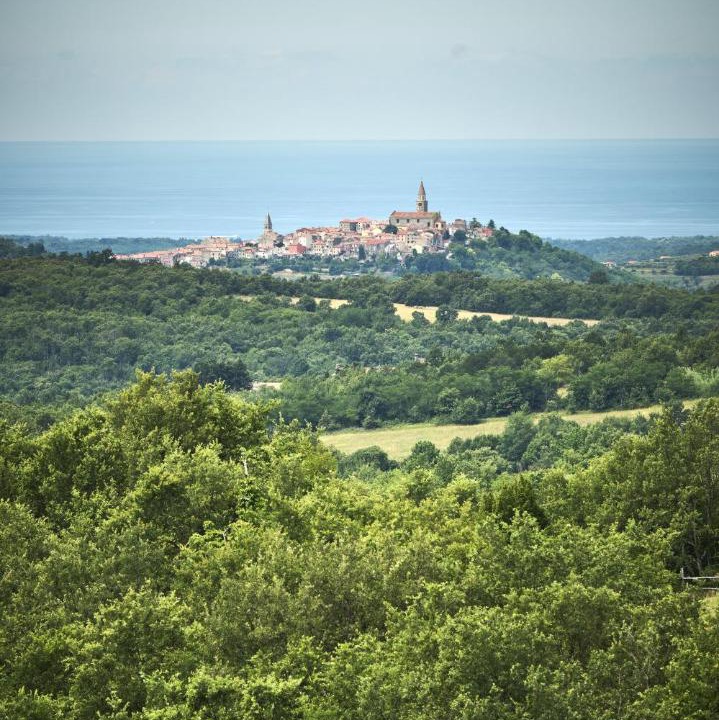 Photo of Others in Marusici