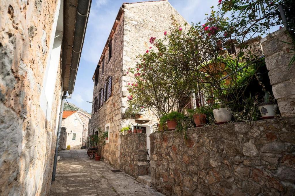 Photo of Buildings in Pitve