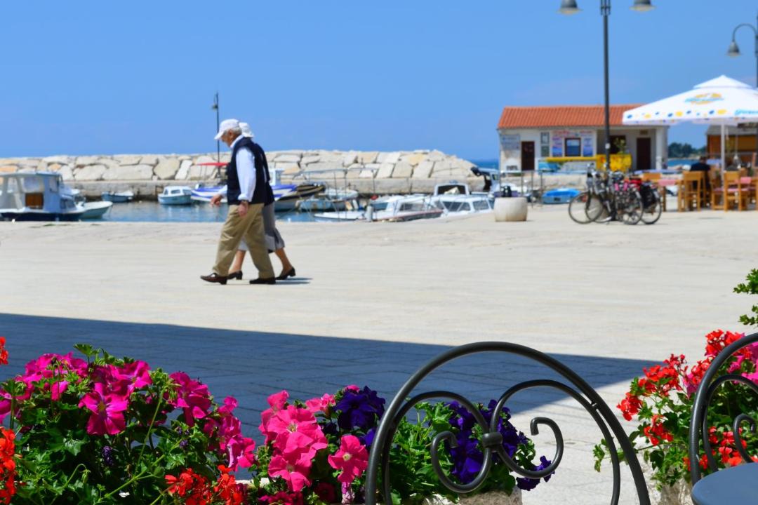 Photo of Others in Valbandon