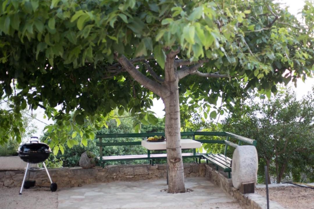 Photo of Others in Tucepi