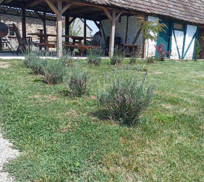 Photo of Others in Cerna