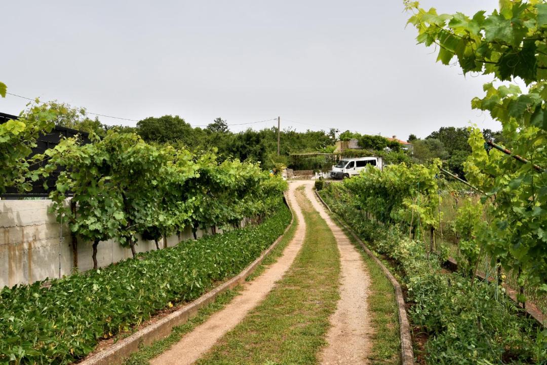 Photo of Others in Vinez