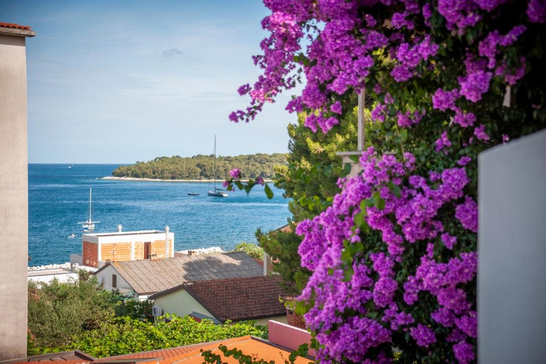 Photo of Others in Rovinj