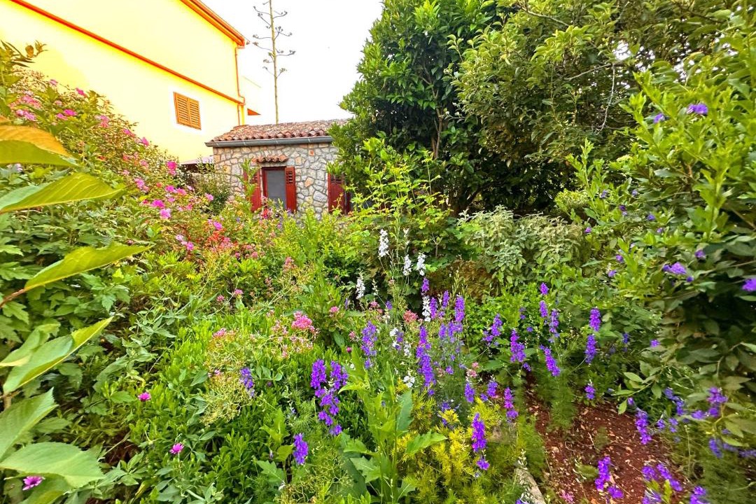 Photo of Others in Veli Losinj