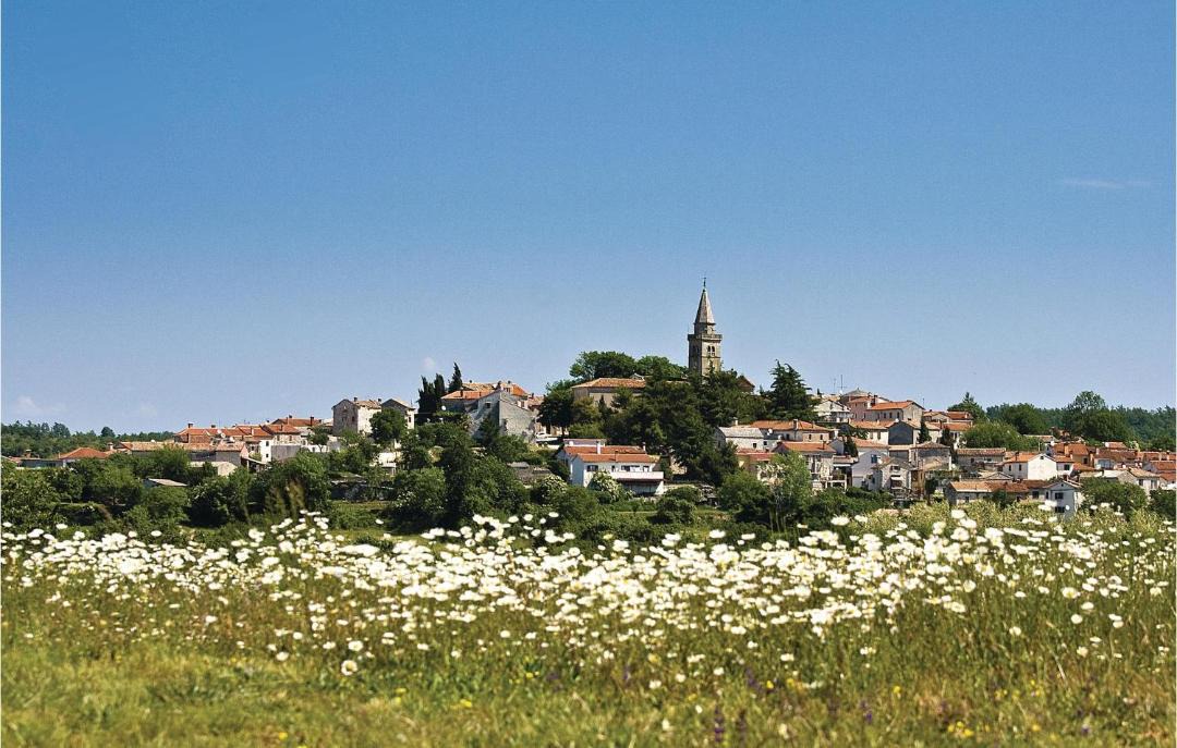 Photo of Others in Gracisce