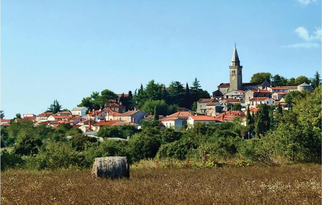 Photo of Others in Gracisce