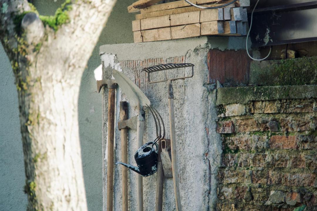 Photo of Others in Lanisce