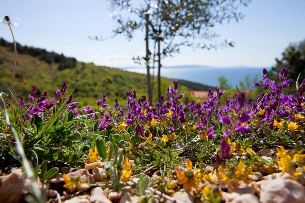 Photo of Others in Rabac