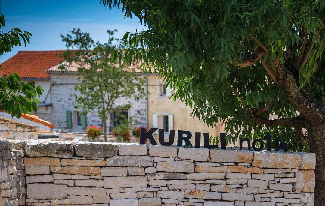 Photo of Others in Kurili