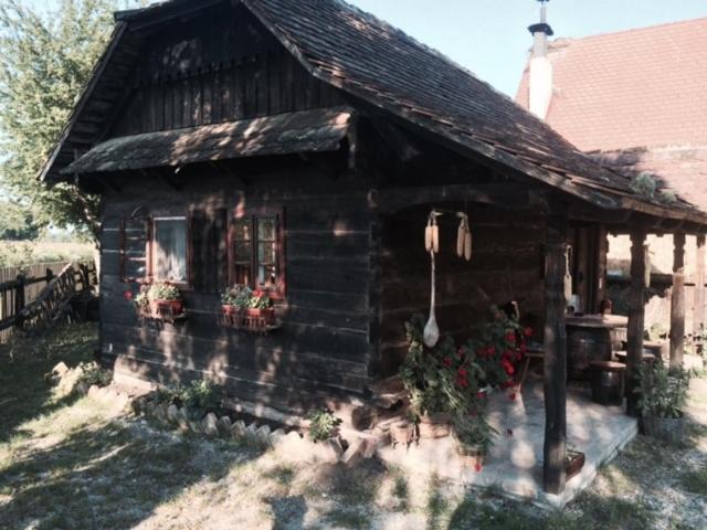 Photo of Others in Sisak