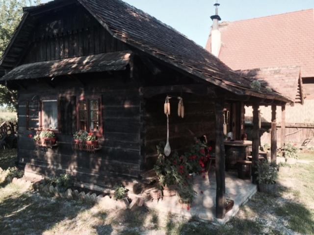 Photo of Others in Sisak
