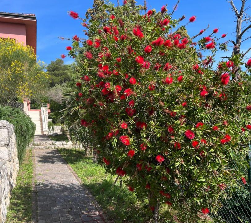 Photo of Outdoor in Suha Punta