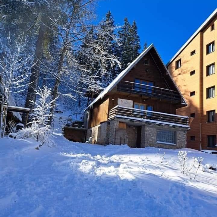 Photo of Others in Jahorina