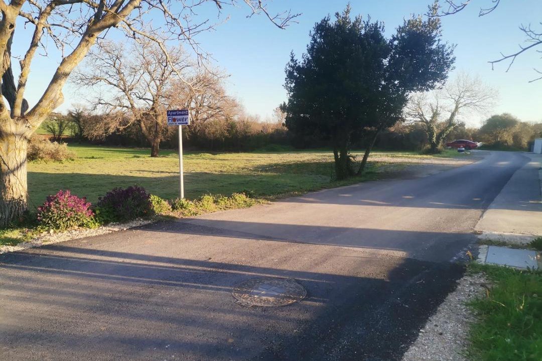 Photo of Outdoor in Sikici