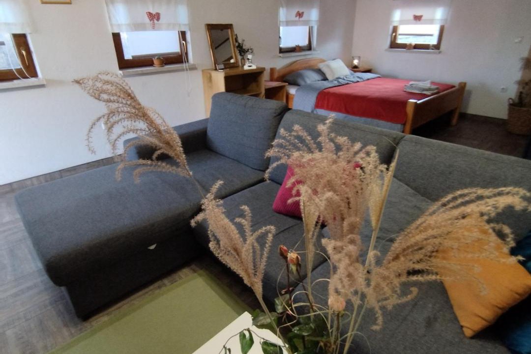 Photo of Livingroom in Donji Koncovcak