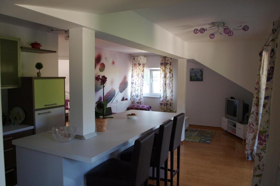 Photo of Kitchen in Veliko Trgovisce